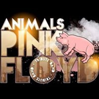 Animals- Pink Floyd Tribute Band