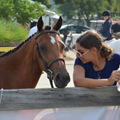 Northeast Equestrian Series