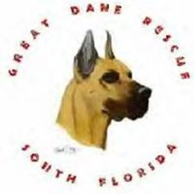 Great Dane Rescue of South Florida