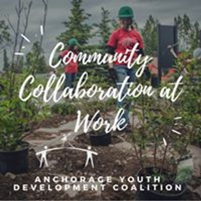 Anchorage Youth Development Coalition