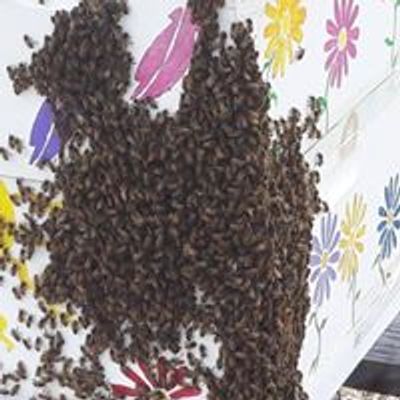 Troup County Bees Georgia
