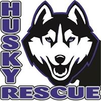 Husky Rescue South Africa
