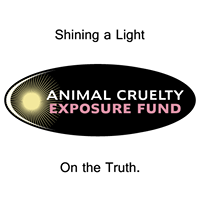 Animal Cruelty Exposure Fund