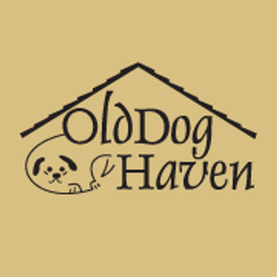 Old Dog Haven