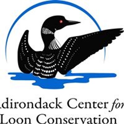 Adirondack Center for Loon Conservation
