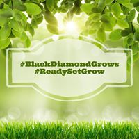 Black Diamond Perrysburg