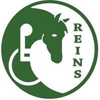 REINS Therapeutic Horsemanship Program