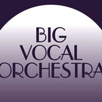 Big Vocal Orchestra