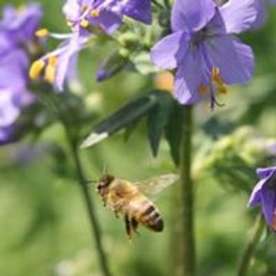 Bartow Master Gardeners Association