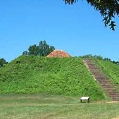 University of Alabama Department of Anthropology