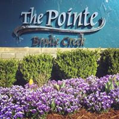 The Pointe Brodie Creek Apartments
