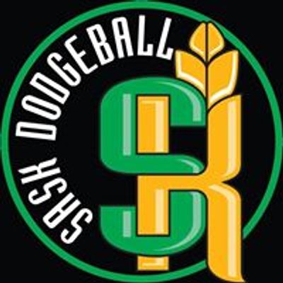 Sask dodgeball