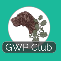 The German Wirehaired Pointer Club (United Kingdom)