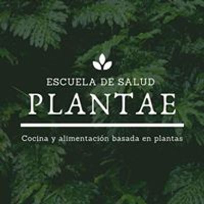Plantae: Escuela de salud basada en plantas.
