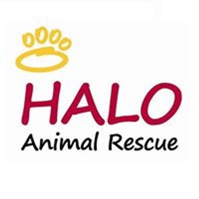 HALO Animal Rescue