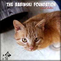 The Babinski Foundation