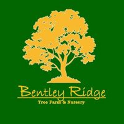 Bentley Ridge Tree Farm & Nursery