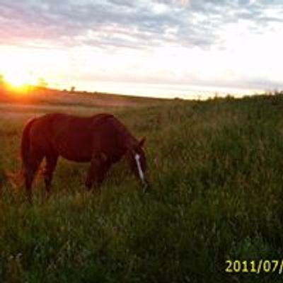 Borderlands Horse Sanctuary