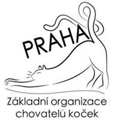 Z\u00e1kladn\u00ed organizace chovatel\u016f ko\u010dek Praha 8