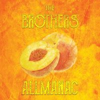 The Brothers Allmanac - A Midwest Tribute to The Allman Brothers