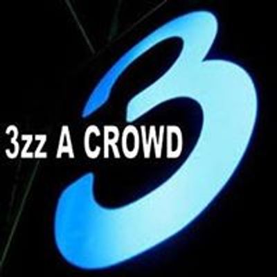 3zz A CROWD - acoustic trio