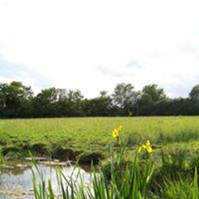 Friends of Hucclecote Meadows