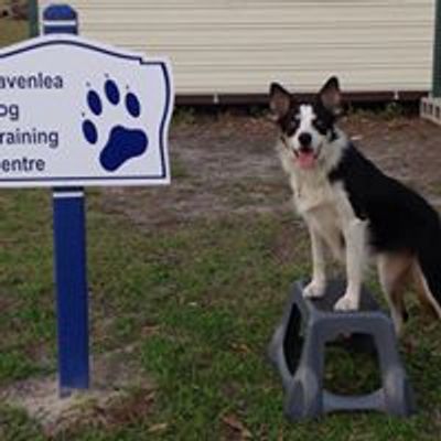 Havenlea Dog Training Centre