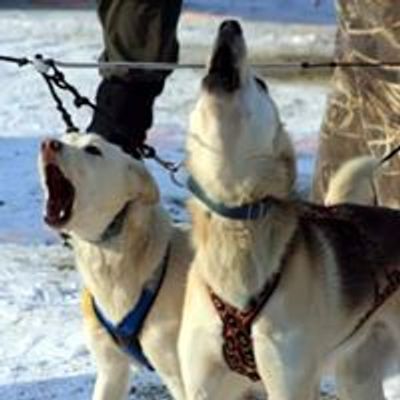 WolfTrack Classic Sled Dog Race