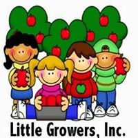 Little Growers INC