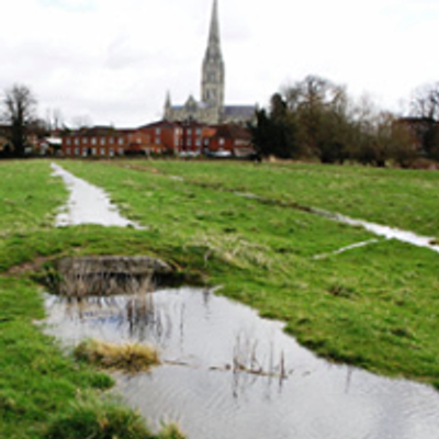 Harnham Water Meadows Trust