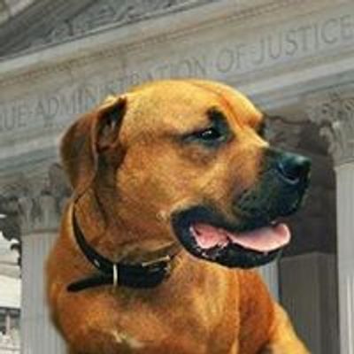 Desmond's Army Animal Law Advocates