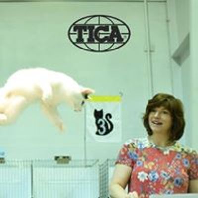 TICA Great Lakes Cat Shows