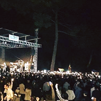 Festival des Noctambules