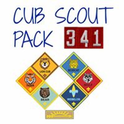 Cub Scout Pack 341 -  Oak Forest, IL