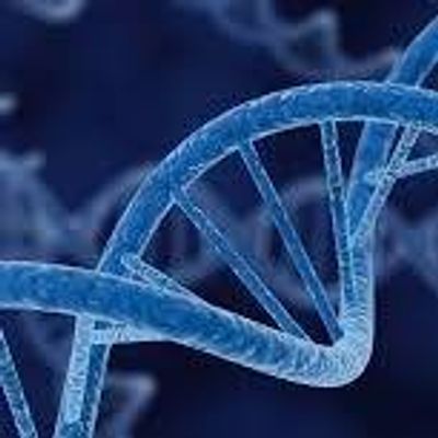 Life with the UBA 5 Gene Mutation