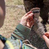 Southwest Wisconsin Longbeards