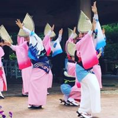 Awa Odori Chicago