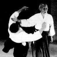 Go Shin Kai Aikido