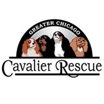 Greater Chicago Cavalier Rescue