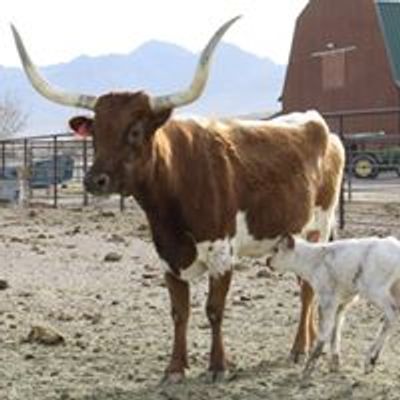 Friends of the New Mexico Farm and Ranch Heritage Museum