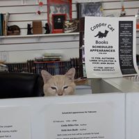 Copper Cat Books