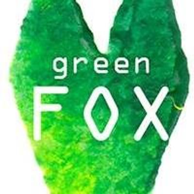 Green Fox workshops