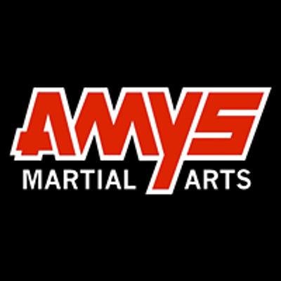 AMYS Martial Arts - Orem