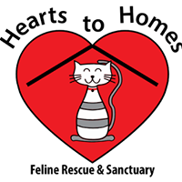 Hearts to Homes Feline Rescue & Sanctuary