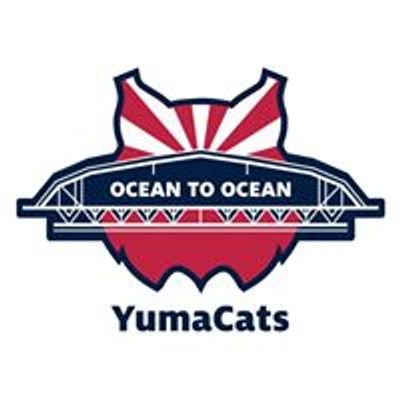 YumaCats University of Arizona Alumni Chapter