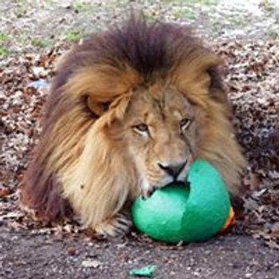 Cape May County Zoo AAZK Chapter
