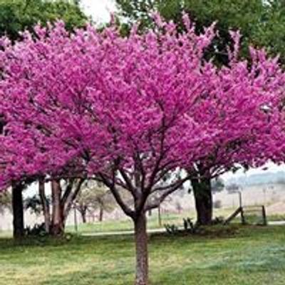 Medford Garden Club, Oregon