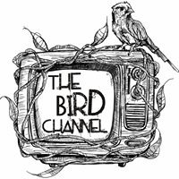 The Bird Channel