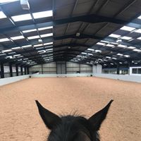 Holmside Hall Equestrian