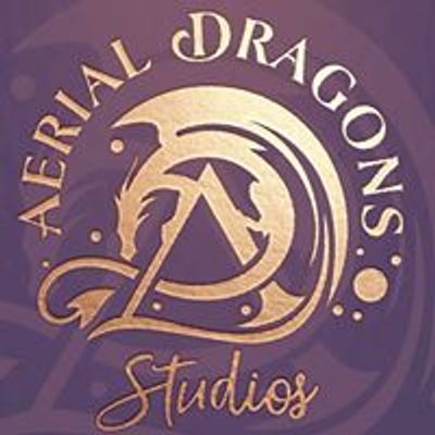 Aerial Dragons Studios